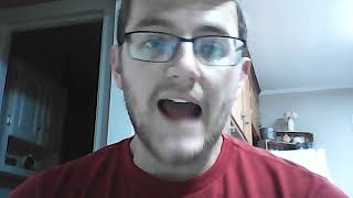 Paralanguage/Vocalics