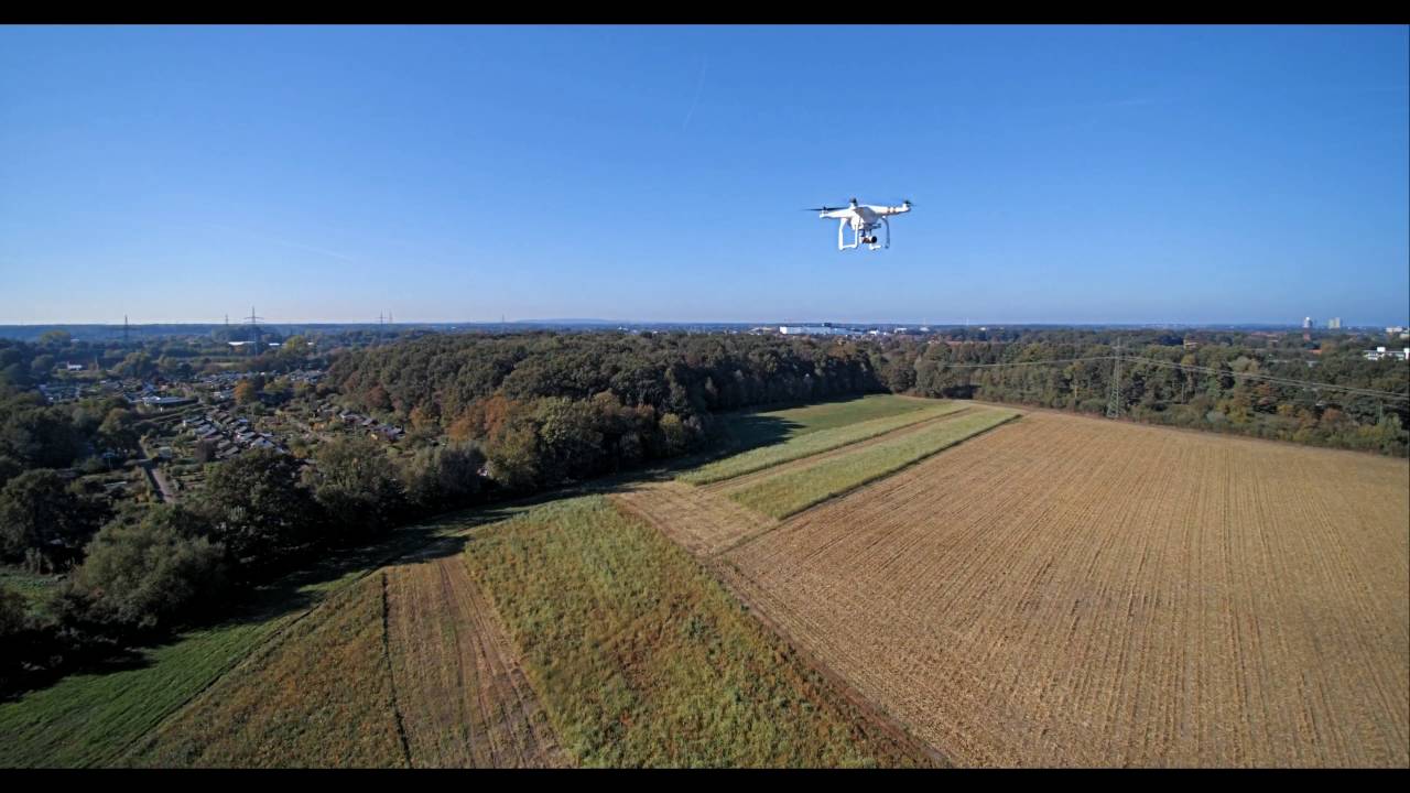 Dji Phantom 3 Professional VS Yuneec Q500 4K