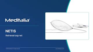 Netis Loop net for retrieval - Meditalia