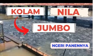 Cara Budidaya Ikan Nila -- sistem kolam air deras jumbo. Ngeri panennya !!!