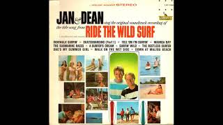 Jan & Dean - She's My Summer Girl (24-bit Linear PCM upload)
