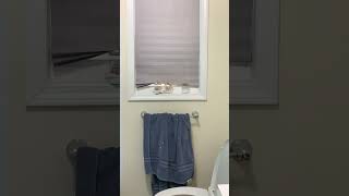 Yall My Aunt Is Solo Preppy