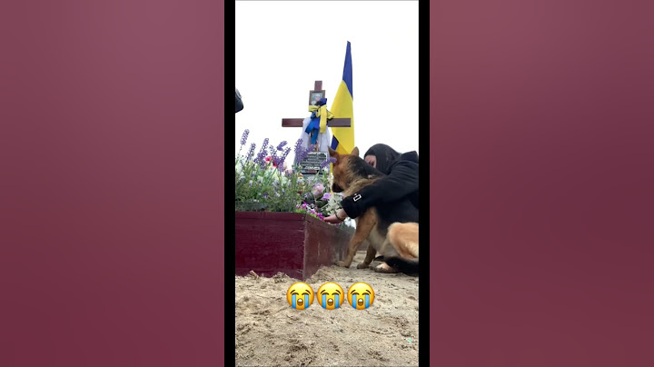 Донька прийшла на могилу до батька 🥺 #зсу #ukraine