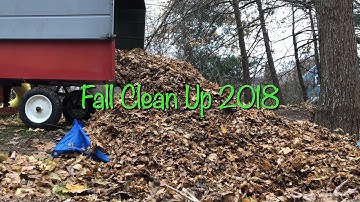 Fall Cleanup 2018