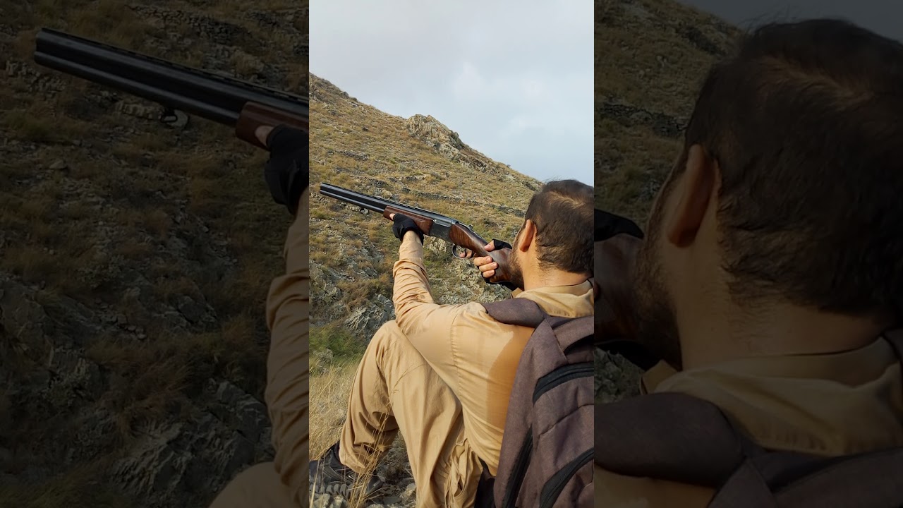 Hunting chukar at mountain