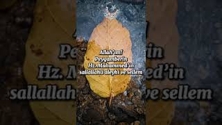 Hz.Peygamber Dilinden Gece Duası #shorts #dinihikayeler #kısavideolar #duavehuzur #dualar #dini #dua