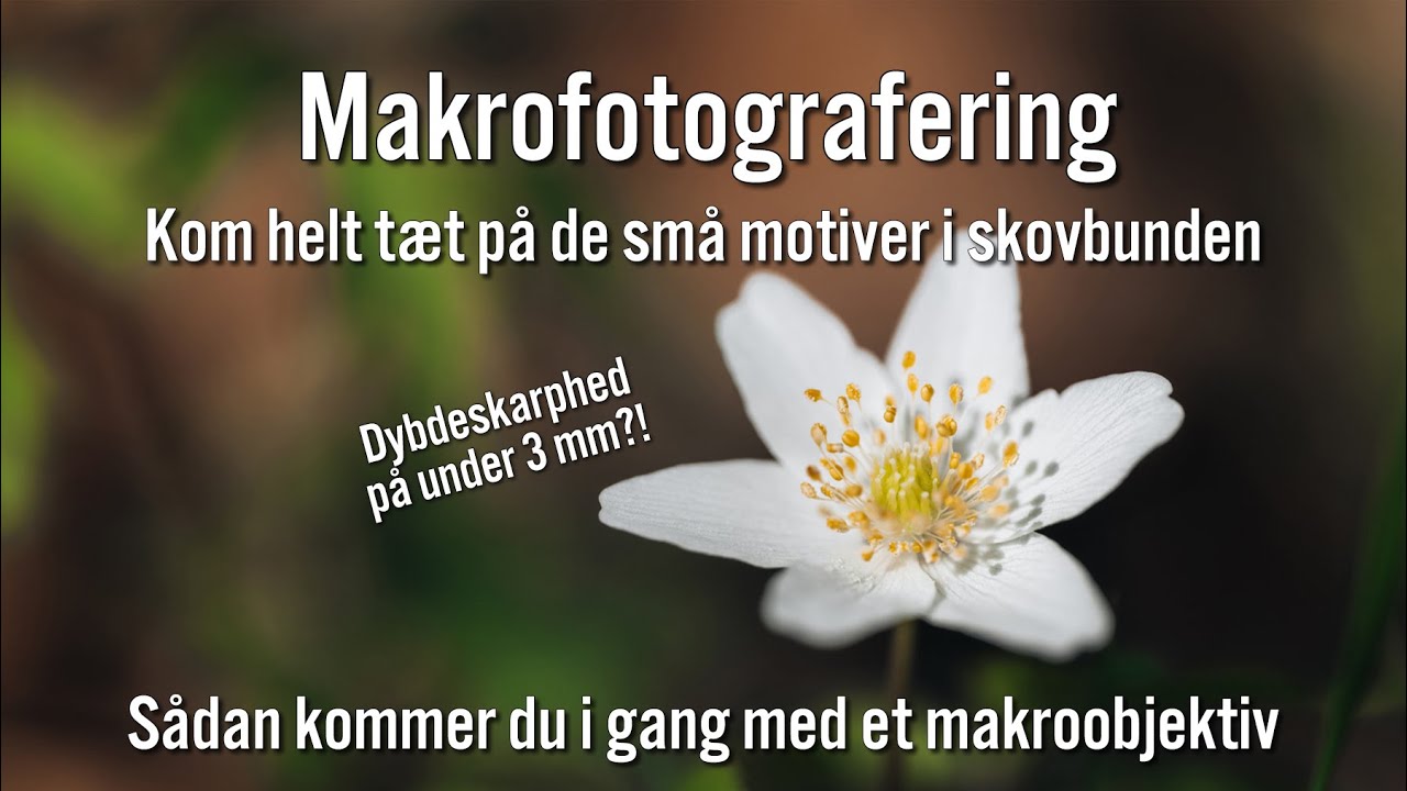 Makrofotografering - En helt ny verden af muligheder
