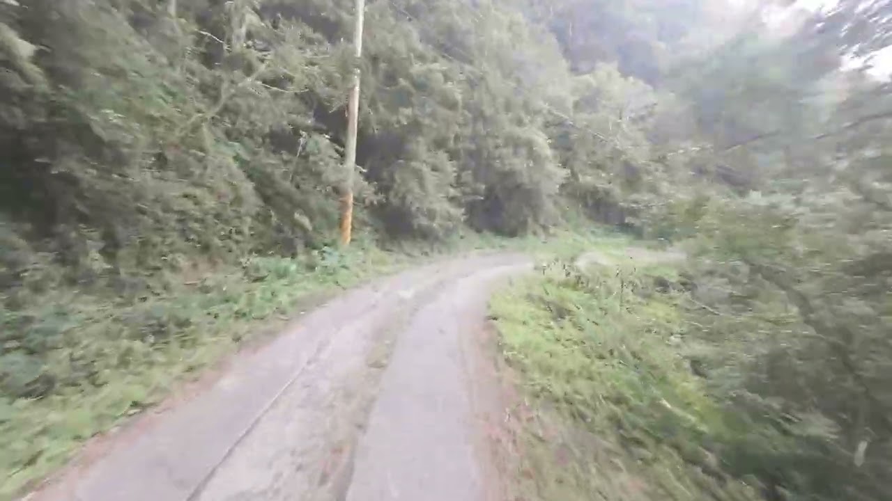 2026/01/09 大漢林道