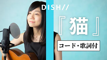 コード 猫 dish