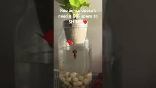 #productivity #productdesign #nexaradesign #information #technology #mac #macbook #productivity