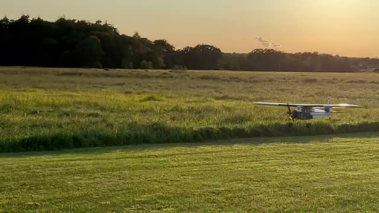 Carl Goldberg anniversary Piper Cub