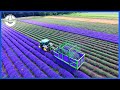 Modern Agriculture Machines That Are At Another Level