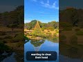 Places in Japan: Shinjuku Gyoen National Garden