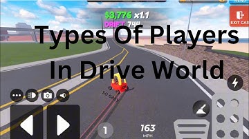 Types Of Players In Drive World