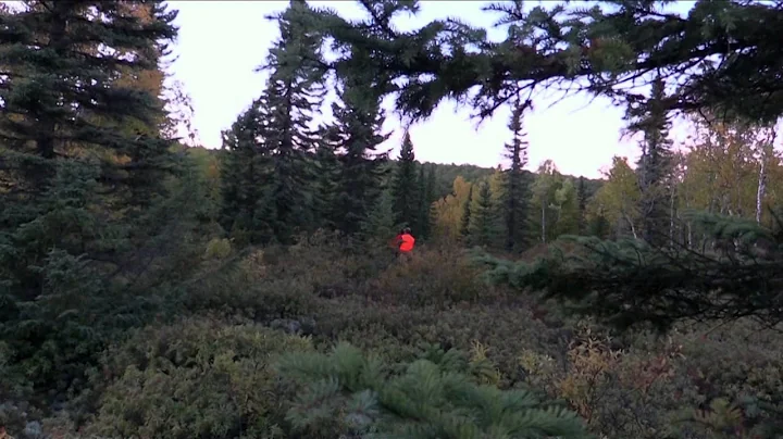 Born to Hunt Boys - Moose Hunting with Monette Outdoors Team