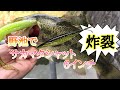 サカマタシャット　6インチ　炸裂