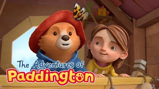 Paddington | Paddington watches a Cocoon hatch! | Shows for Kids