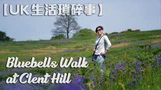 【UK生活瑣碎事】Bluebell Walk at Clent Hill