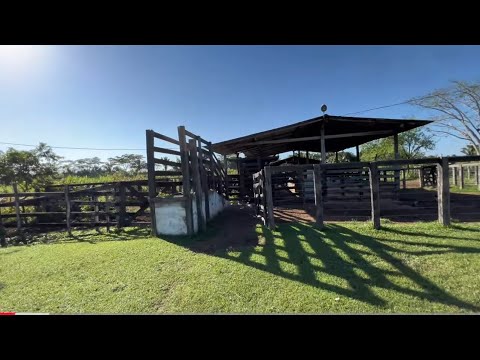Affordable Farm in Maranhão: 215 Hectares on the Paved Road