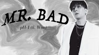 [VIETSUB] pH-1 - MR. BAD (Feat. 우원재)