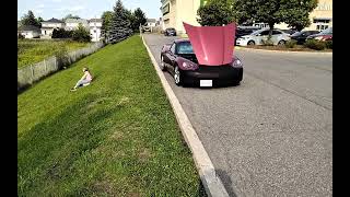 2016 Ford Plansaink GTP SES V8 Coupe 5 Speed Manual With All New License Plates On Its This Yin Tara