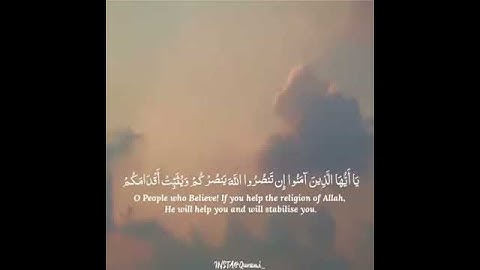 حالات واتس اب قرأن .....القارئ طارق محمد.