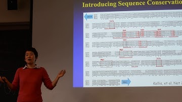 2018 STAT115 Lect 10.4. Motif Finding Summary