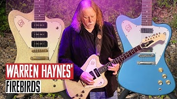 Warren Haynes