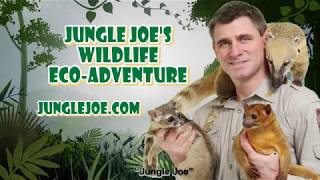 Jungle Joes Wildlife Adventures