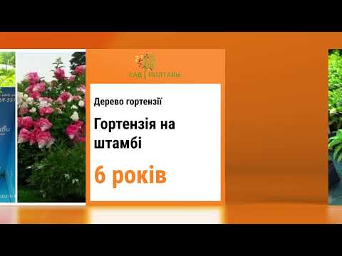 Питомник Сад Полтавы.