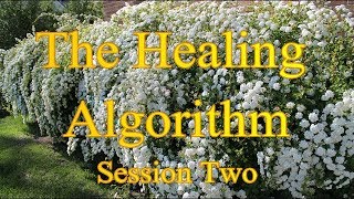 The Healing Algorithm - Full Recording of Energy Healing Webinar - Session Two