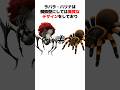 【モンハン】ラバラ・バリナの生態とトリビアを解説#shorts #モンハン解説 #mhwilds