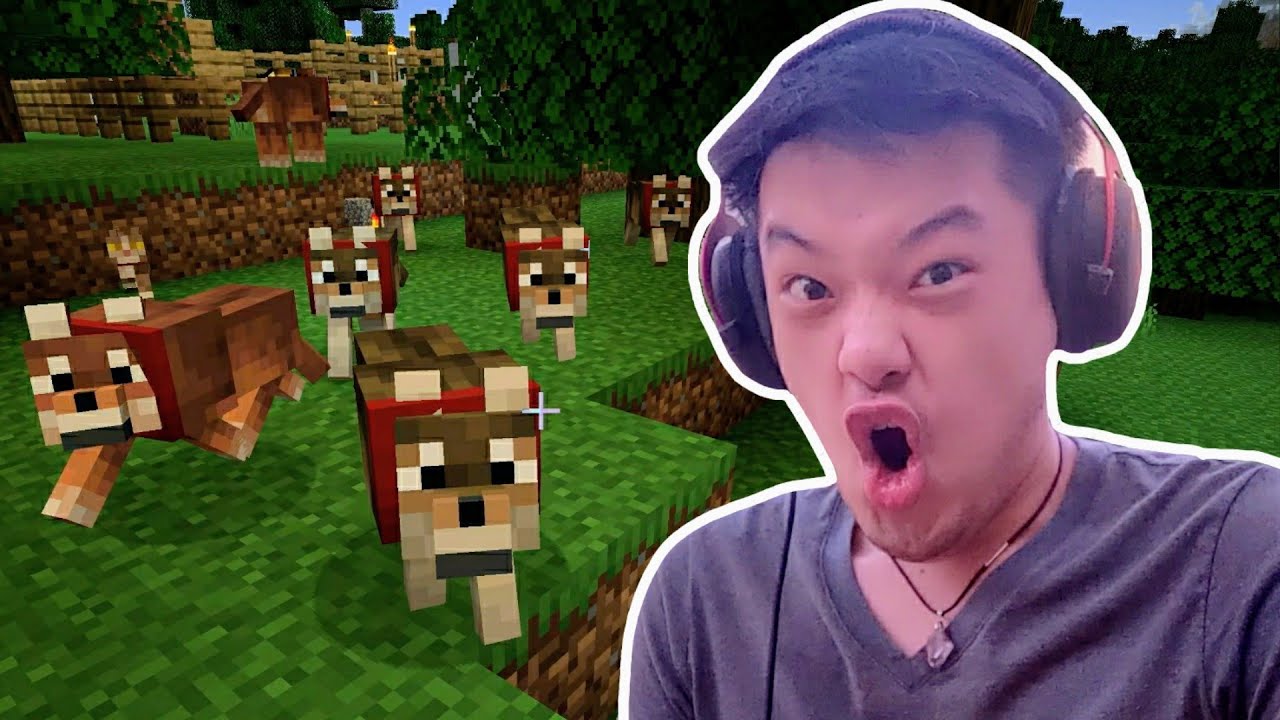 集结我的狗狗大军！看谁还敢欺负我！- Minecraft 我的世界 #8