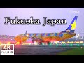 [4K] [飛行機 動画] Plane Spotting at Fukuoka Airport in Japan /福岡空港 2021/10/22