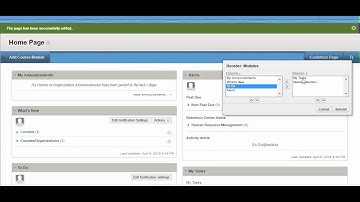 Customizing the Homepage in Blackboard
