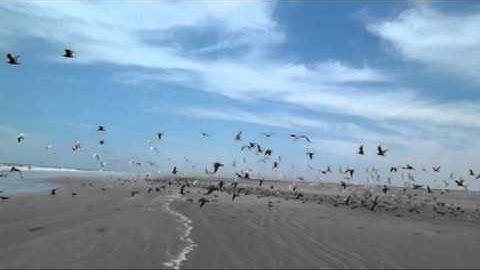 Alex Turner -  Stuck On The Puzzle (Intro)