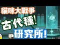 《哲平》手機遊戲 貓咪大戰爭 - 這還是第一次讓我說不出話!! ( 我說一切來的太快了!! )