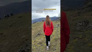 Самостоятельное путешествие по Алтаю за 3 дня - 173 к #алтай #чуйскийтракт #автопутешествие #горы
