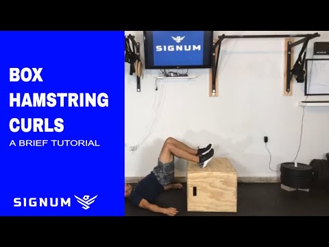 Box Hamstring Curls | A Tutorial
