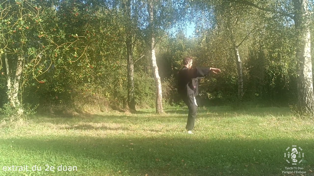 Extraits de Formes du Taïchi Chuan