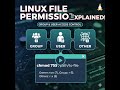 Group and File Permissions