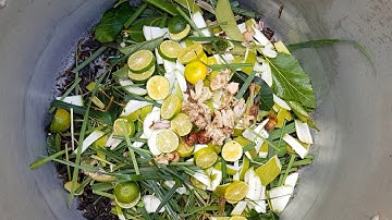 Cách Nấu Và Sử Dụng Dầu Gội Thảo Dược Cô Đặc Từ Thảo Dược Trong Vườn - Herbal Shampoo.