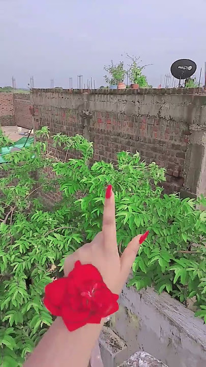 jisko#buaao#me#manga# viral short 🤪🤪💕💕💕