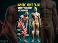 What Happens If You Ignore Joint Pain? 😳