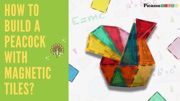 Magnetic Tiles Building Ideas | Build a Peacock with PicassoTiles