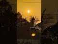 Happy Holi 🎨🌈 to all my subscribers and viewers #holi #enjoylife #sunrise #sun #reels #shorts