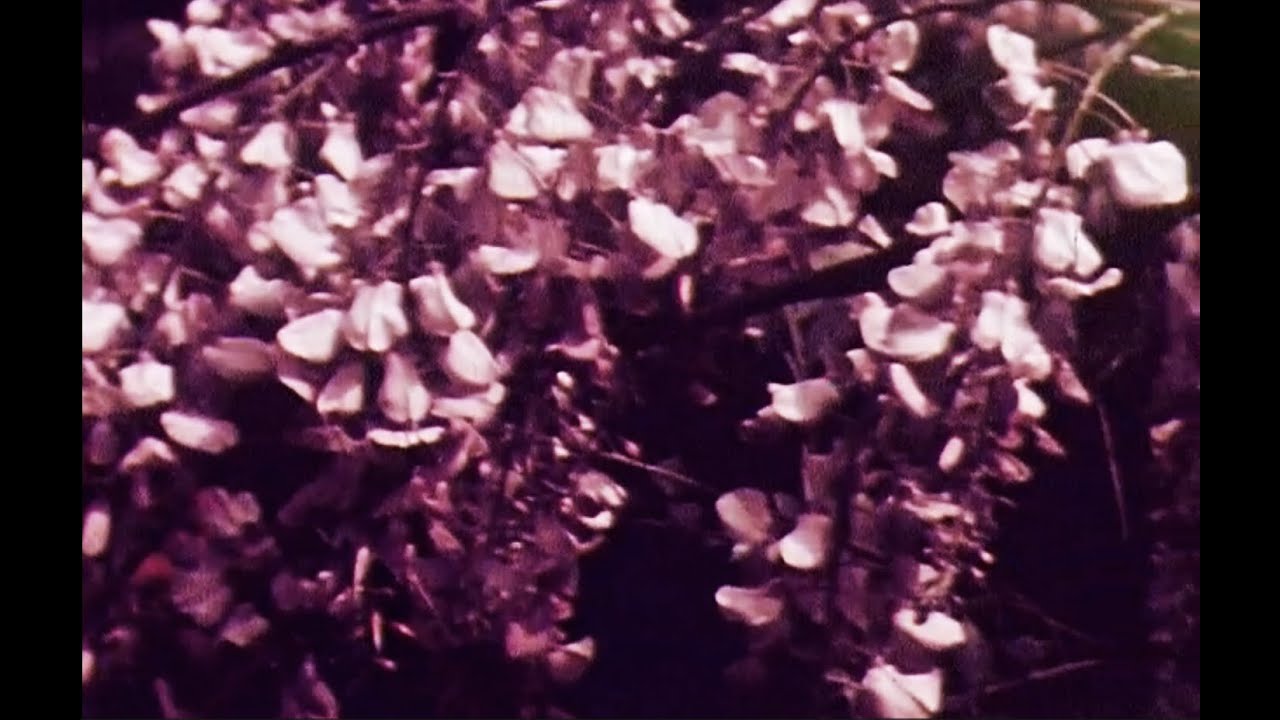 Philip Stevenson, Constellation