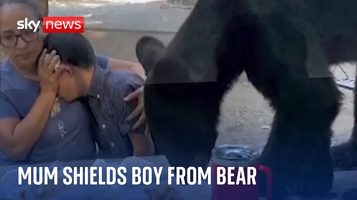 Mum shields son from hungry bear in Mexico