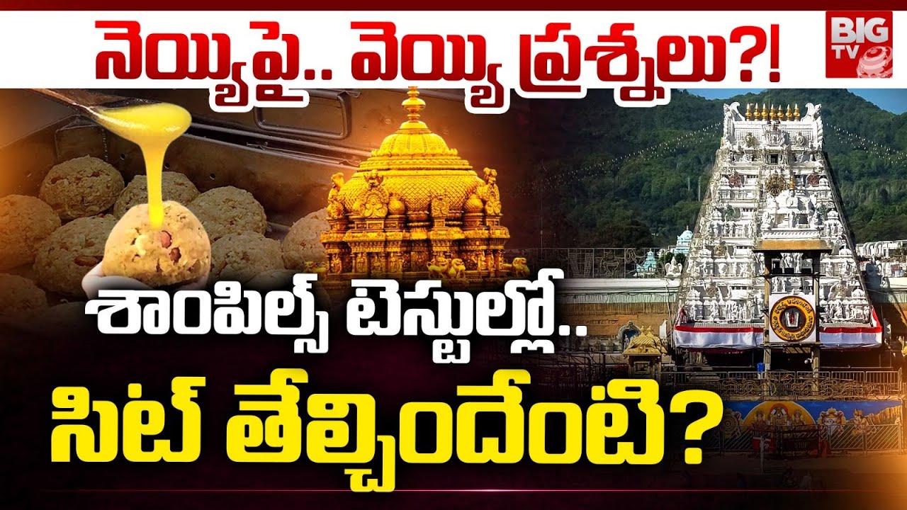 CBI Submits Report On Tirumala Laddu Ghee Issue | Tirumala Ghee Issue | Animal Fat in TTD Laddu