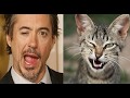 Два сапога пара – Смешные коты  и люди один в один (Кошки похожи на людей 2018)